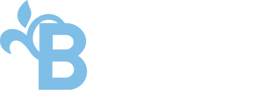 Municipio de Almirante Brown
